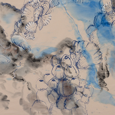 �����, �������� ���