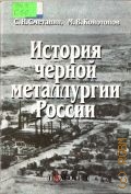 Сметанин С. И., История черной металлургии России — 2002