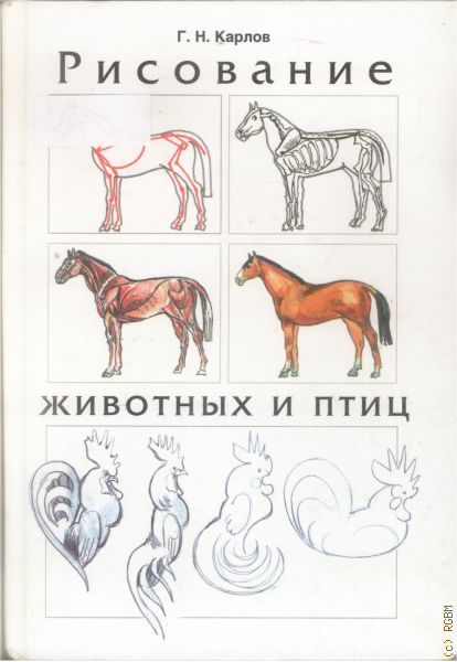 Книга как нарисовать животных. Георгий Карлов рисование животных. Карлов рисование животных и птиц. Книги по рисованию зверей. Карлов изображение птиц и зверей.