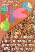Сиденко А.В., Практикум по социально-экономической статистике — 1998