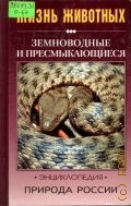 Орлова В. Ф., Земноводные и пресмыкающиеся — 1999 (Природа России. Жизнь животных)