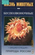 Волцит О. В., Беспозвоночные. энциклопедия — 1999 (Природа России. Жизнь животных)