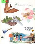 B. The Young Children's Encyclopedia Vol.2 (Britannica)