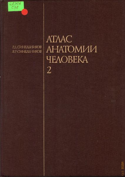 Российская Государственная Библиотека Для Молодежи