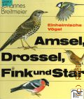 Breitmeier J., Amsel, Drossel, Fink und Star � cop.1991