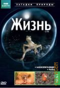 Рыбы. Птицы. Жизнь Часть 2 — 2009 (BBC EARTH) (Загадки природы)