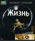 Насекомые. Охотники и жертвы. Жизнь Часть 3 — 2009 (BBC EARTH) (Загадки природы)