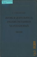 Виргинский В.С., Жизнь и деятельность русских механиков Черепановых — 1956