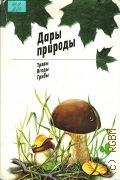 Солоухин В. А., Дары природы. Травы, ягоды, грибы — 1984