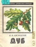 Лосицкий К. Б., Дуб — 1981 (Библиотечка 