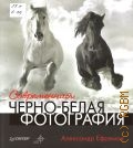 Ефремов А. А., Современная черно-белая фотография — 2011