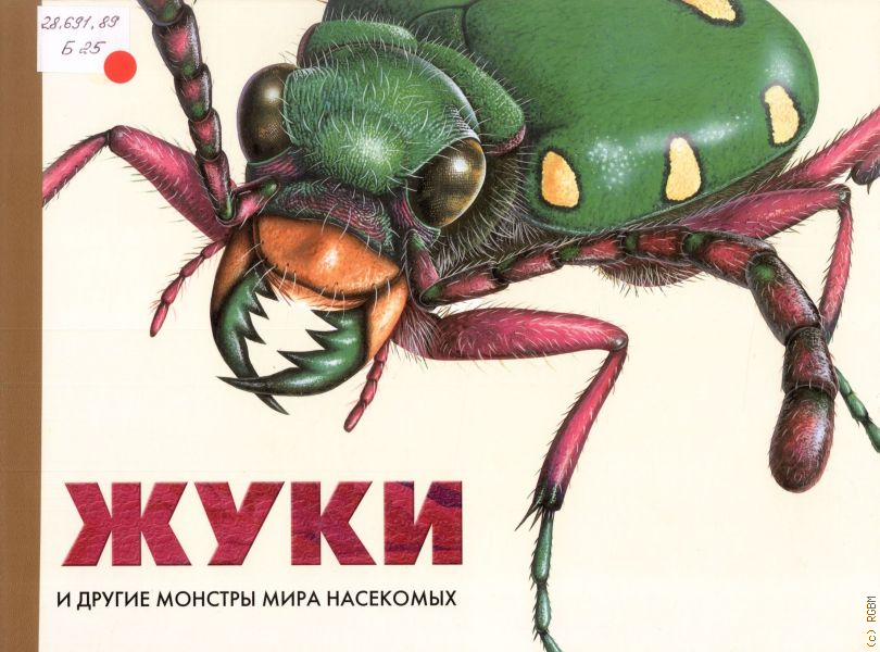 Насекомые читать. Книга жуки и другие монстры мира насекомых. Книга другие монстры мира Жук. Жуки в книгах. Книги о жуках для детей.