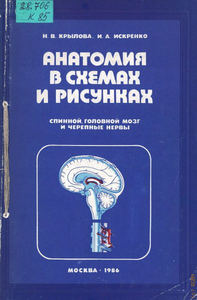 Анатомия в схемах и таблицах горелова и таюрская