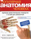 Эшвелл К., Популярная анатомия человека. подробное иллюстрированное руководство с тестами для самоконтроля — 2013 (Цветные иллюстрированные медицинские атласы)