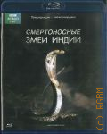 Смертоносные змеи Индии — 2012 (BBC. Живой мир)