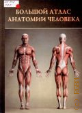 Перез В., Большой атлас анатомии человека — 2014