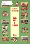 Жустрин Г. К., Ещё раз о грибах (наблюдения, впечатления, размышления) — 2007