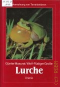 Masurat Gunter, Lurche  1991 (Vermehrung von Terrarientiere)