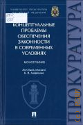 Андрианов М. С., Концептуальные проблемы обеспечения законности в современных условиях. монография — 2024