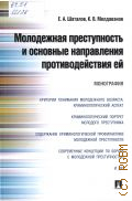 Шаталов Е. А., Молодежная преступность и основные направления противодействия ей. монография — 2023